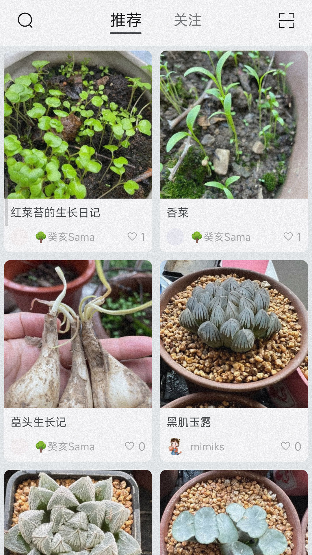 小植物官方版图3