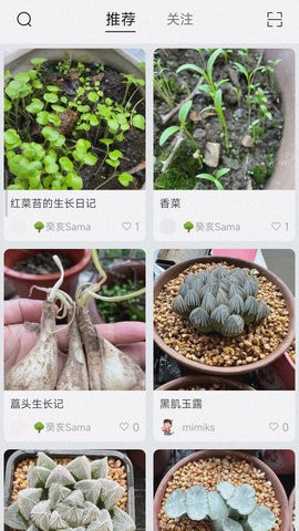 小植物记录官方APP图3