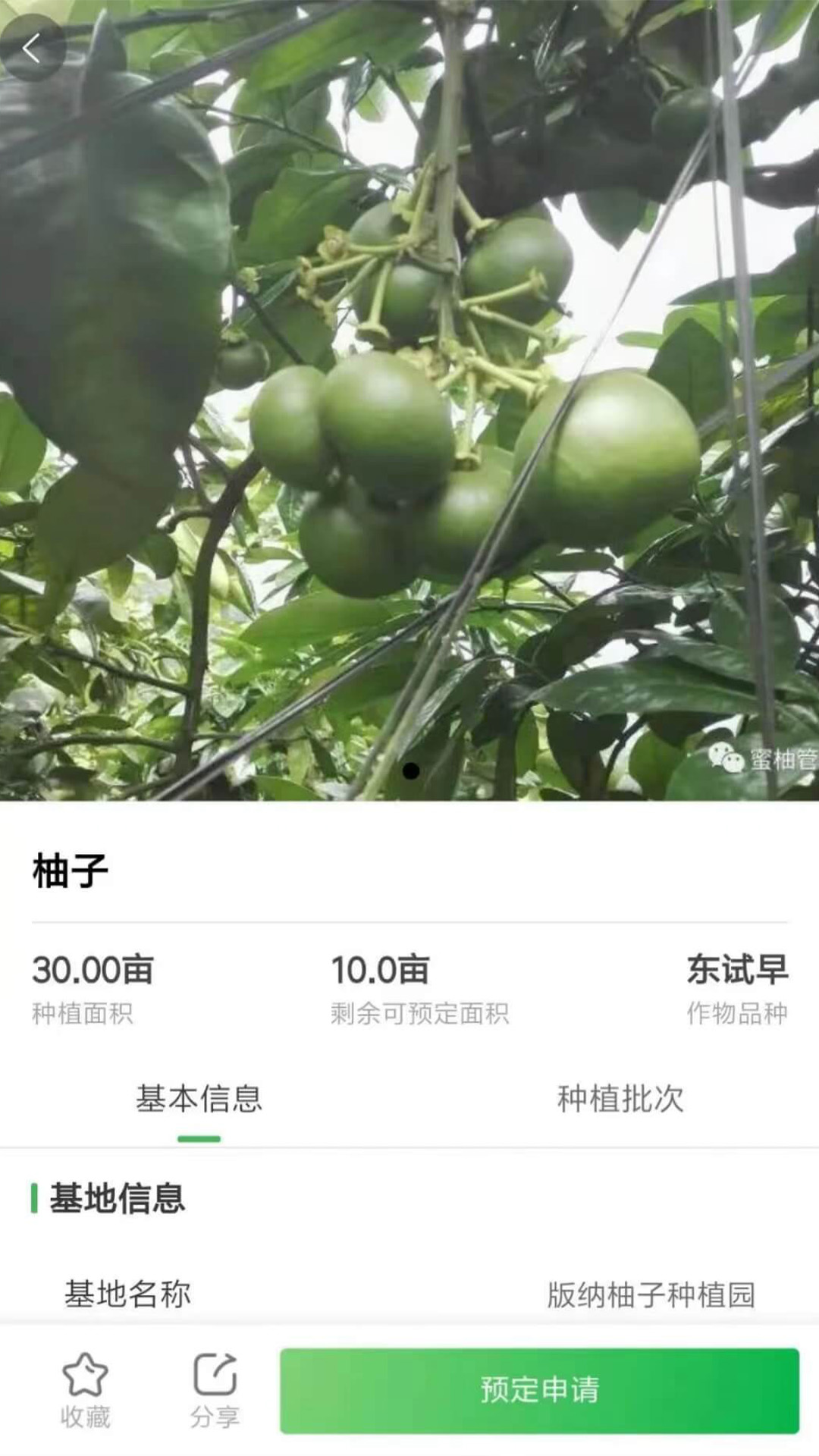 智云优选农产品app手机版图3