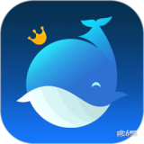 鲸琦app