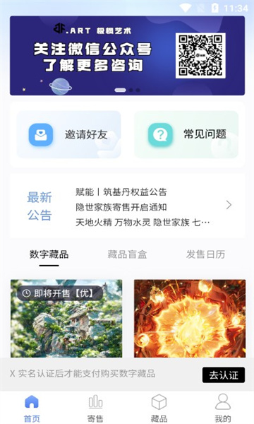 极枫艺术藏品平台app图片2