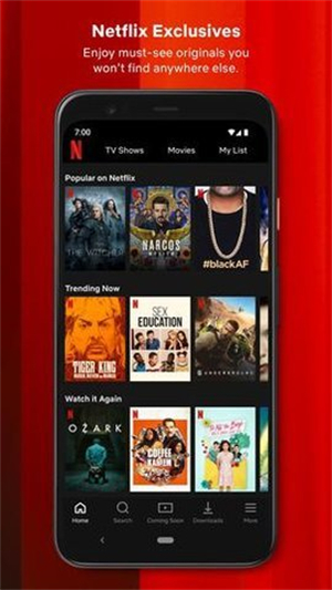 网飞netflixapp图3