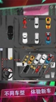 驾考模拟停车达人游戏图片1
