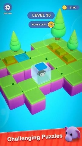 猫猫迷宫冒险游戏图1