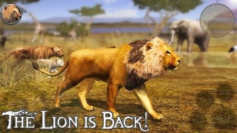 终极狮子模拟器2汉化版图4
