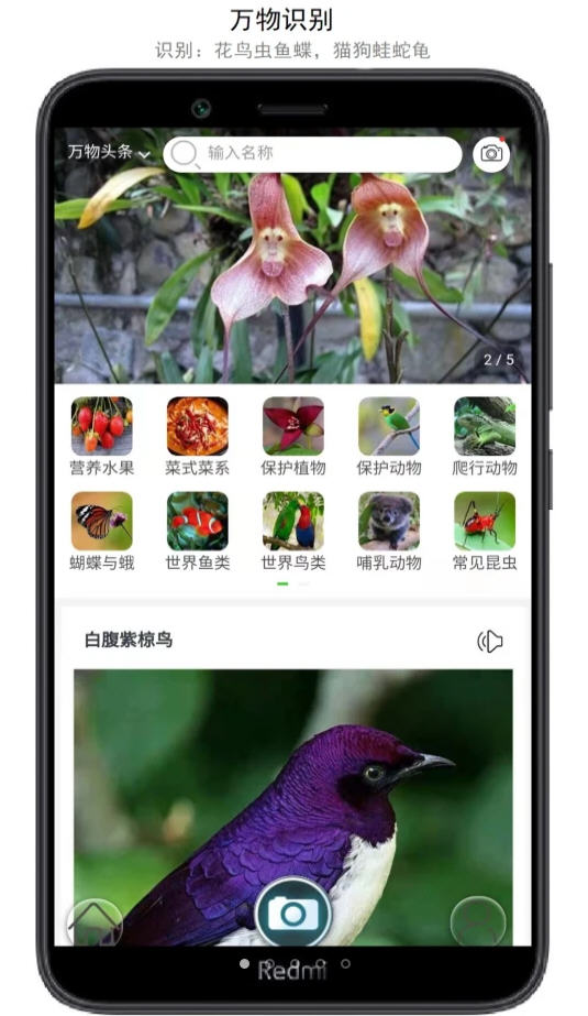 万物识别APP安卓最新版图片2